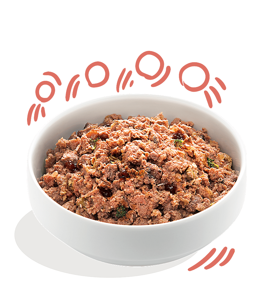 Edgard & Cooper Senior Hondenvoer Blikjes Kip en Zalm 6 x 400 gram