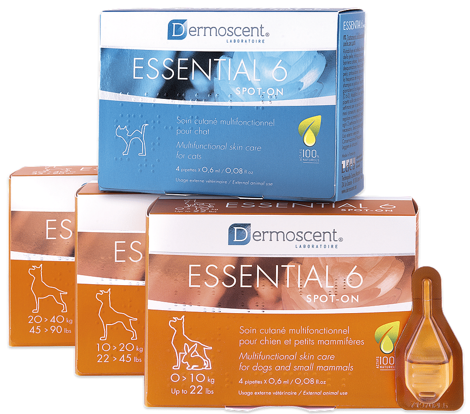 Dermoscent Essential Hond Hond 20 - 40 kg - 4 pipetten