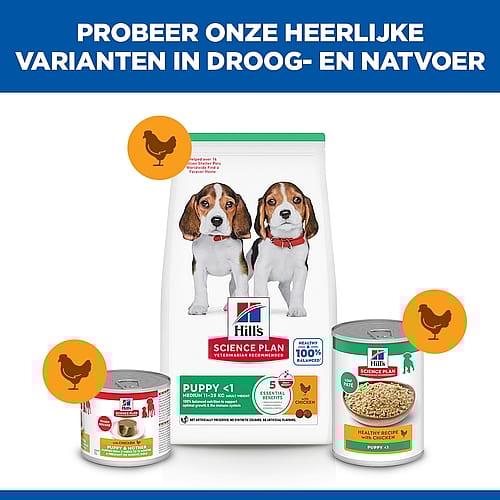 dog food, puppy food, dry food, canned food, nutrition