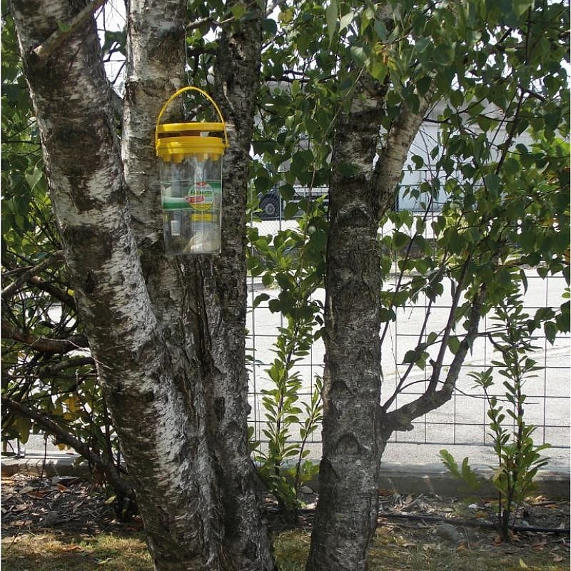 Flybuster vliegen systeem Garden Trap incl. 40 gram lokaas