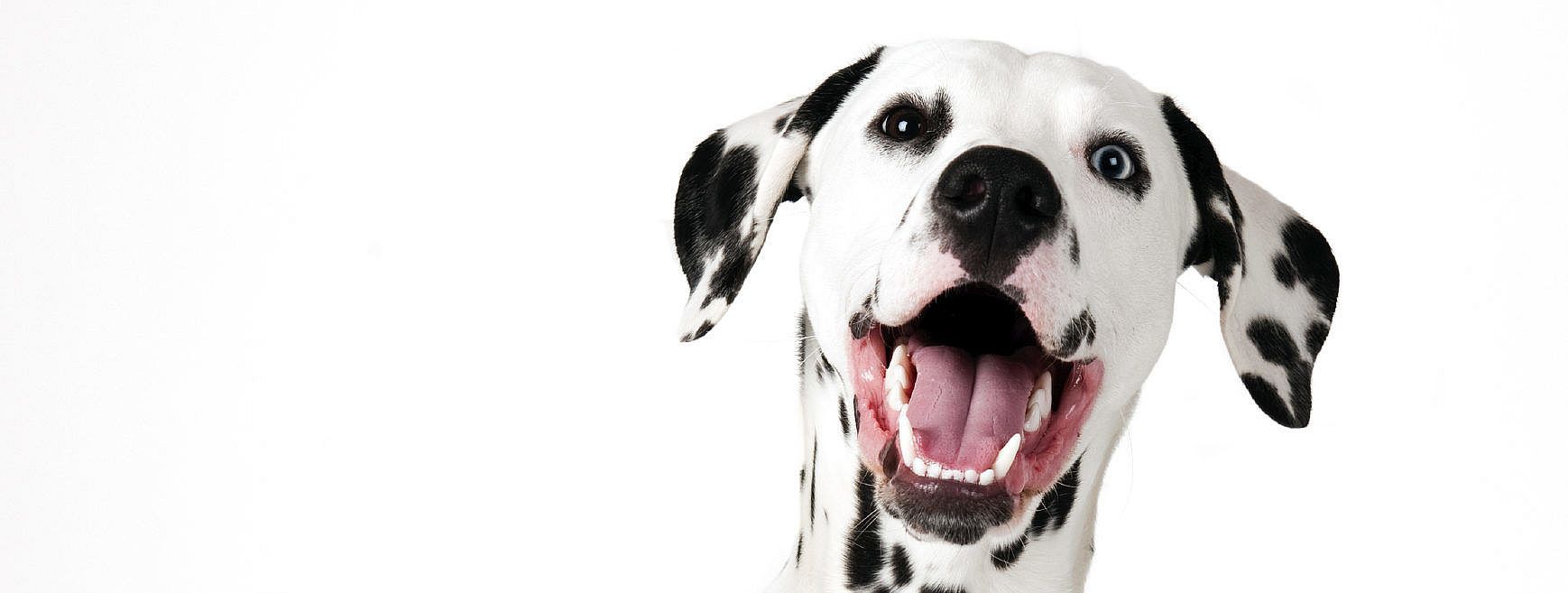 103fc4dd256525cd787bfc86b9cb0d73