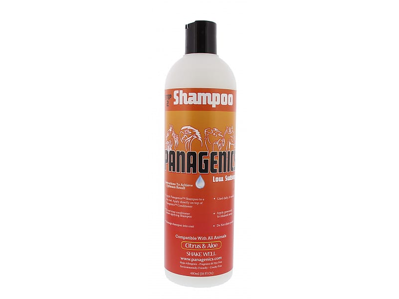 Panagenics Shampoo 480 ml