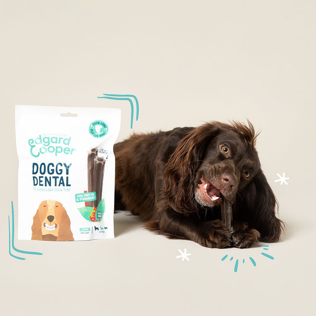 Edgard & Cooper Doggy Dental Sticks Hondensnack - Appel en Eucalyptus Medium