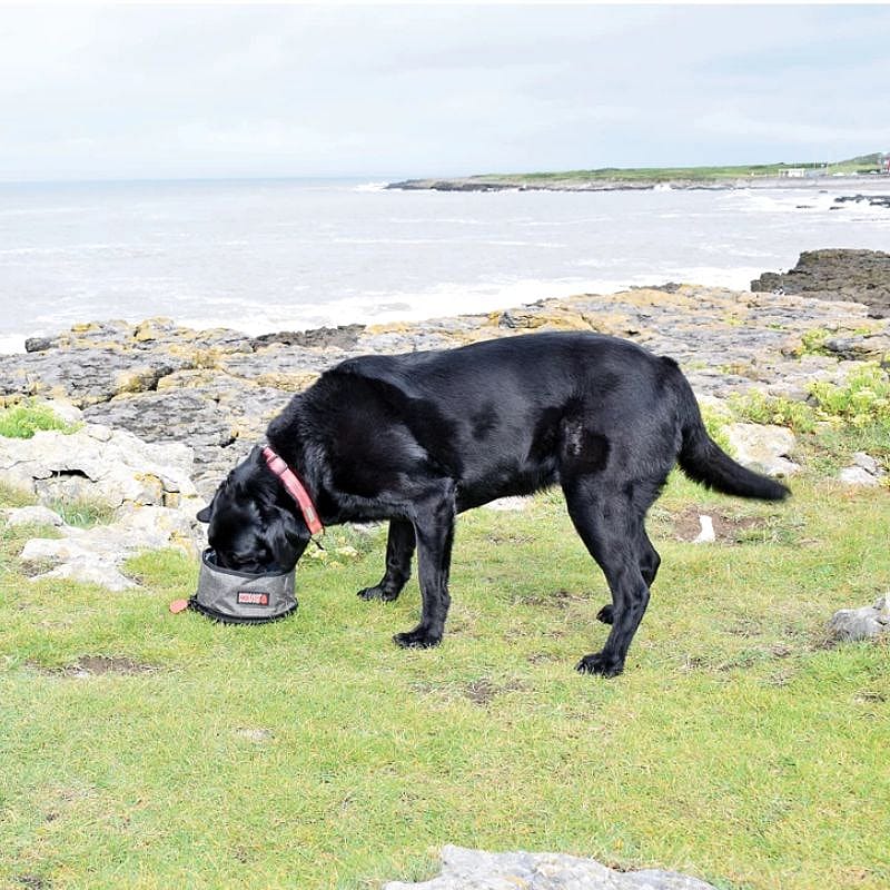 KONG Fold-Up Bowl Hond Dubbele Voer/Drinkbak