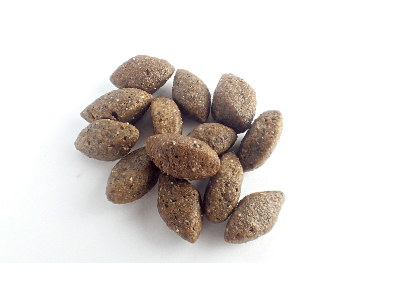 Calibra Dog Expert Nutrition Sensitive Salmon & Potato