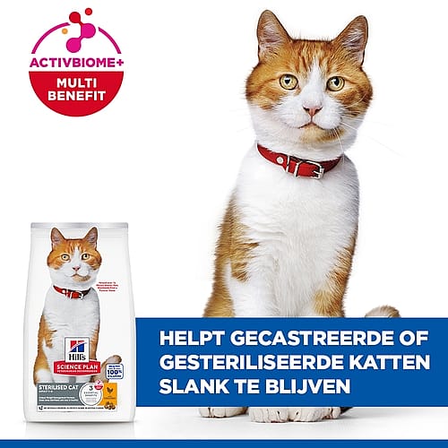 kat, kattenvoer, kattensnoep, collage?, banner