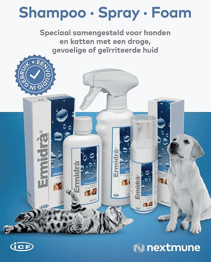 Ermidra Foam Droogshampoo Hond Kat
