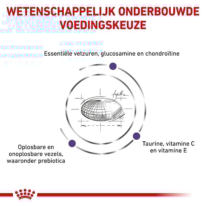 Royal Canin Adult Large Dog 4 kg