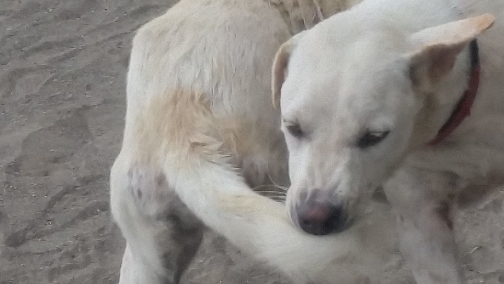 0daa7bef9fb2a516943b0018e816ee69