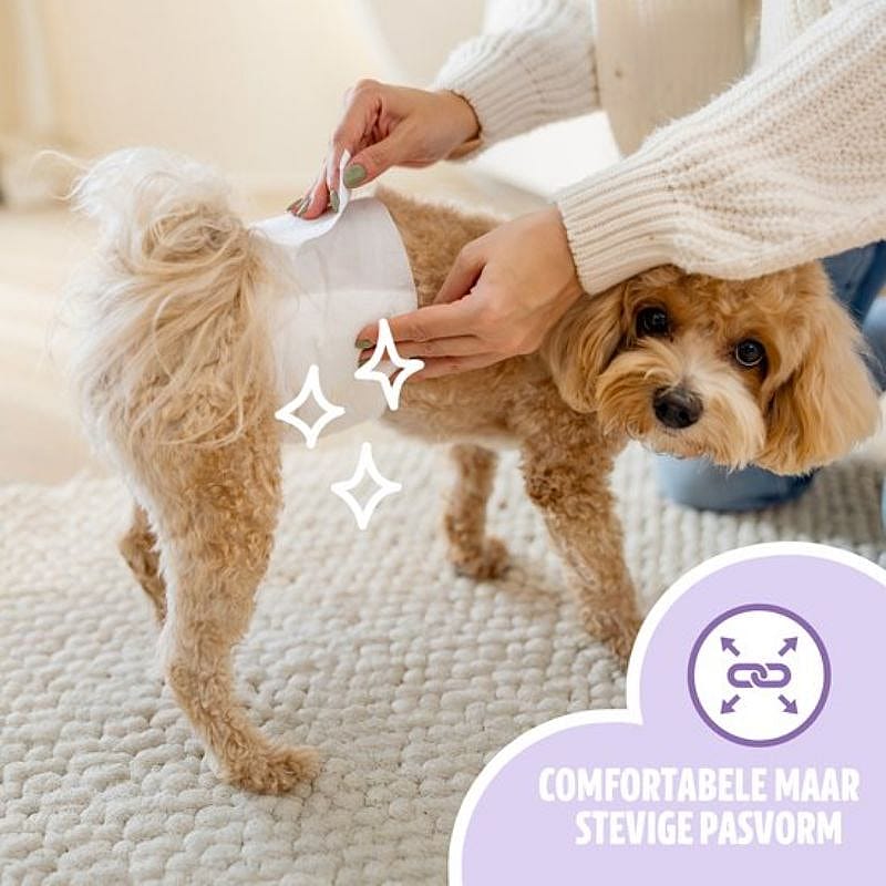 EasyPets Hondenluiers Reu Hond XS/S