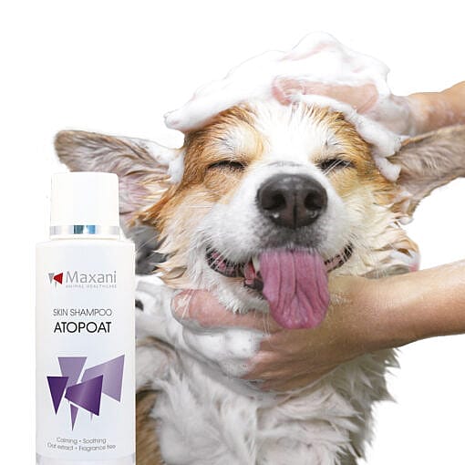 Maxani AtopOat Huidshampoo 200 ml