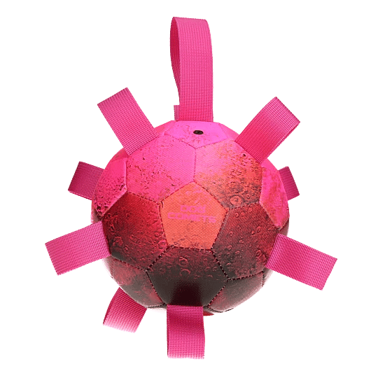 Dog Comets Hypernova Bal Hond Roze