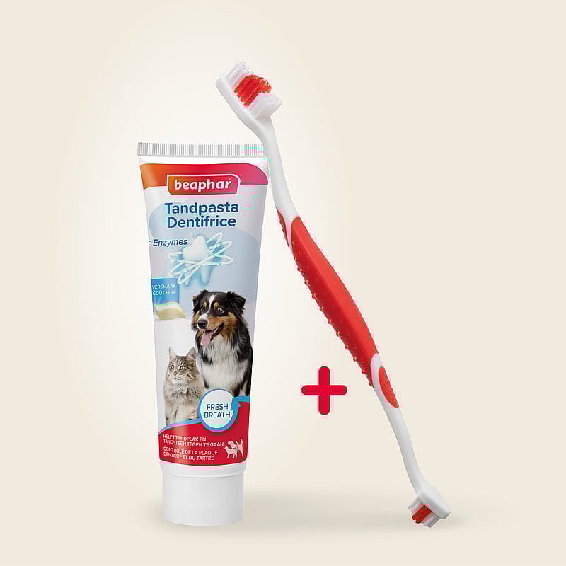 Beaphar Tandpasta en Tandenborstel 1 set