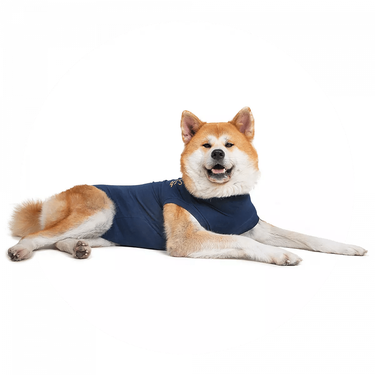 Medical Pet Shirt Hond Maat Large
