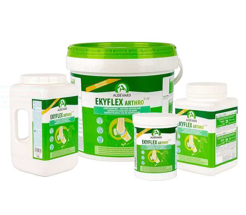 Audevard Ekyflex Arthro EVO Gewricht Paard 900 gram