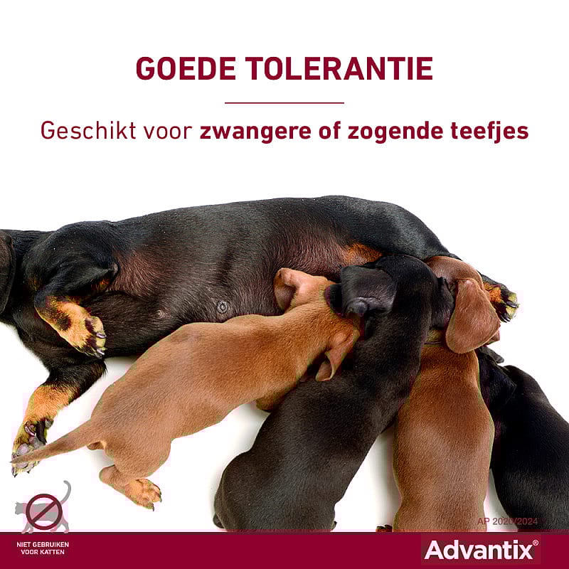 Advantix Spot-on Hond 4 pipetten - 4 - 10 kg - 100/500