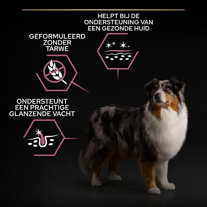 Purina Pro Plan Medium & Large Adult 7+ Sensitive Skin Hondenvoer Zalm 14 kg