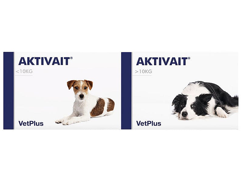 Vetplus Aktivait Hond