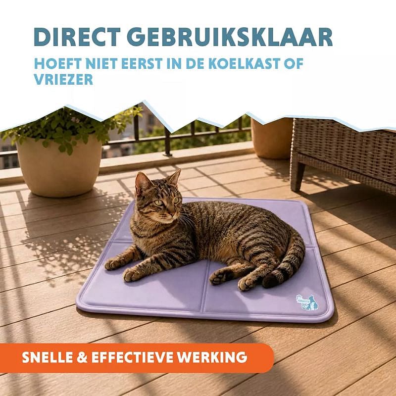 kat, kattenmat, tuinmat, opblaasbare, kattenlaken