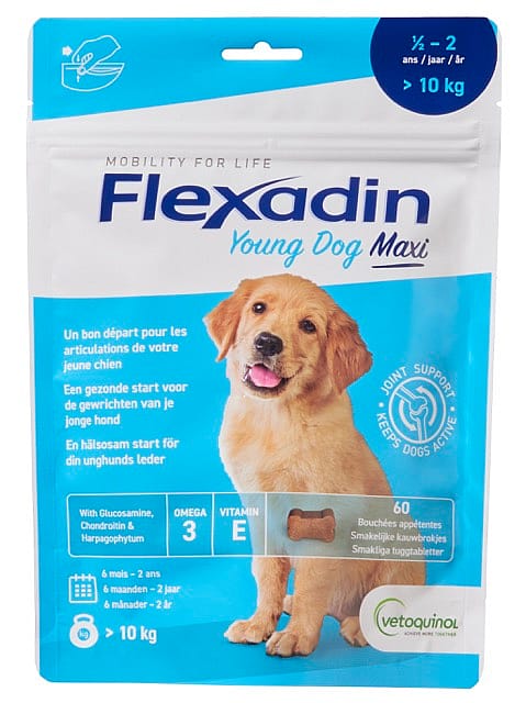 Flexadin Young Dog Maxi - 60 Kauwbrokjes