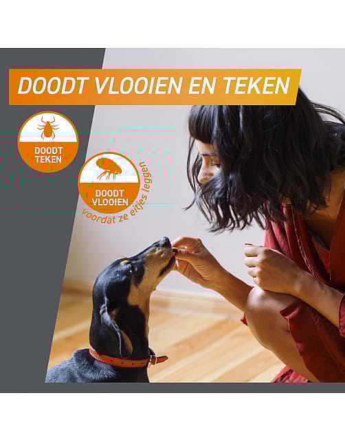 Frontpro Vlo Teek Kauwtablet Hond