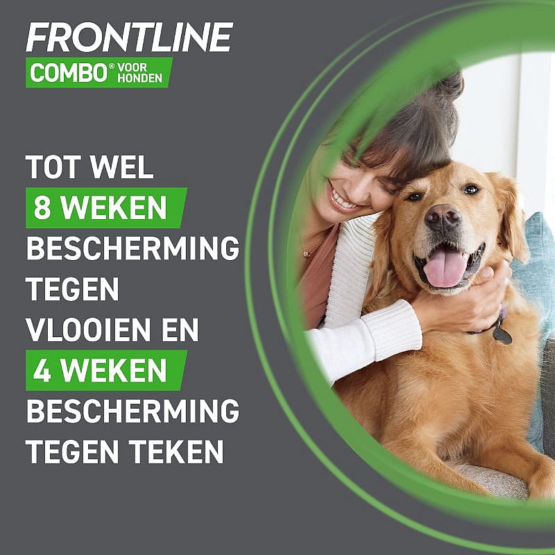 Hond, Huisdier, Golden Retriever, Gezicht, Persoon, Hond, Huisdier, Golden Retriever, Gezicht, Persoon, Hond, Huisdier, Golden Retriever, Gezicht, Persoon, Hond, Huisdier, Golden Retriever, Gezicht, Persoon