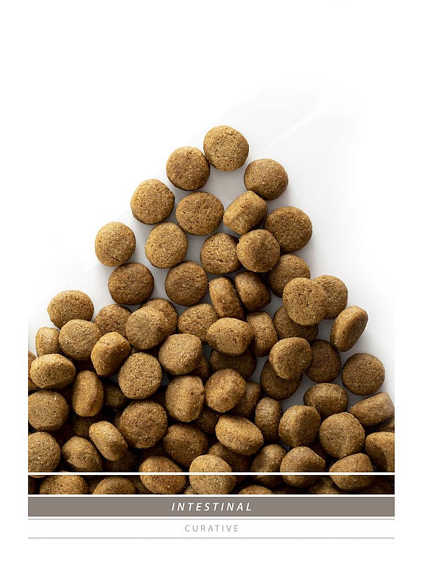 Sanimed Intestinal Hond Dieetvoer: Spijsvertering - Diarree - 100% natuurlijk