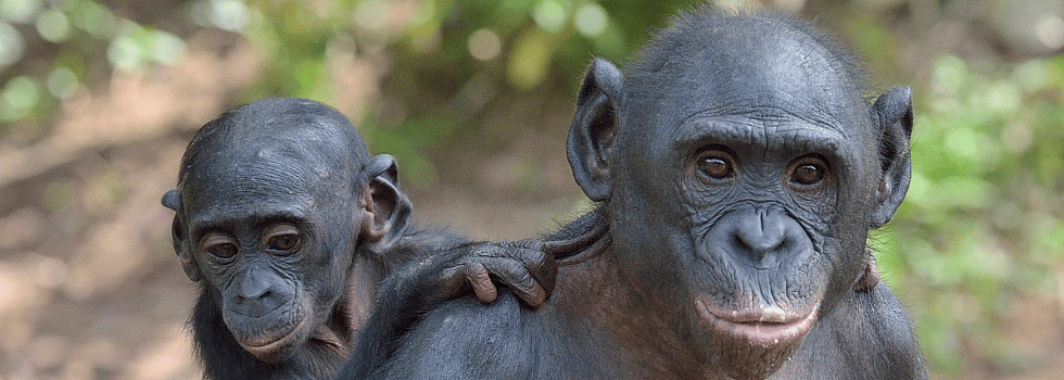 697ef752f222bf353865d4f74a4dfcff