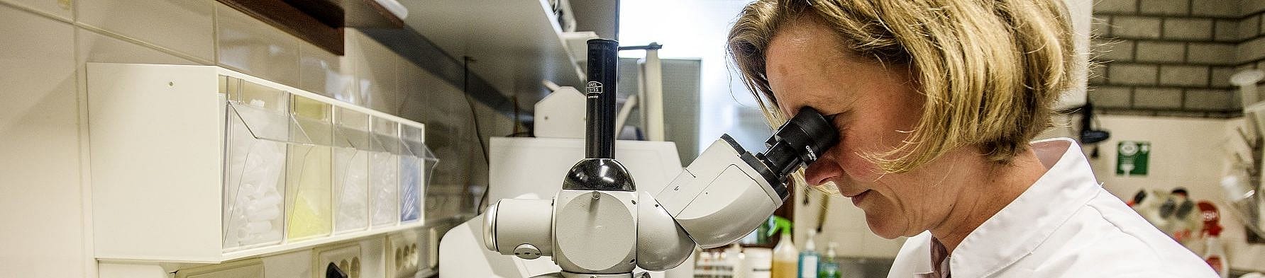 40044ad9f2f83ea175e8906b0da5dcb1