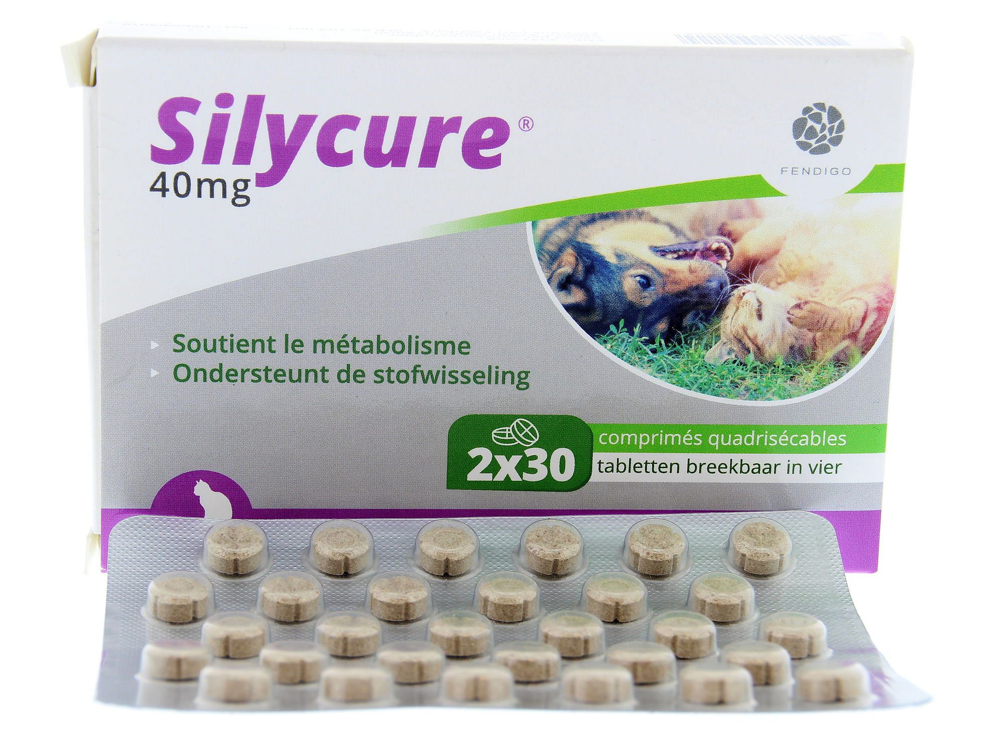 Silycure Fendigo 2 x 30 tabletten - 40 mg