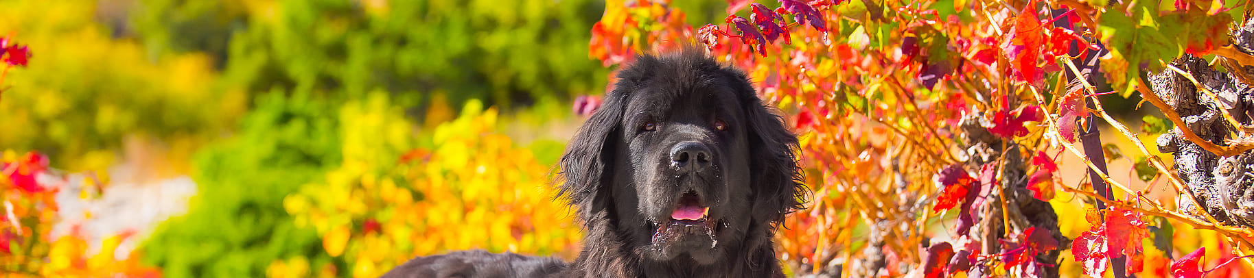 788d5b91ab25f6dfaea54181c7e7abfa