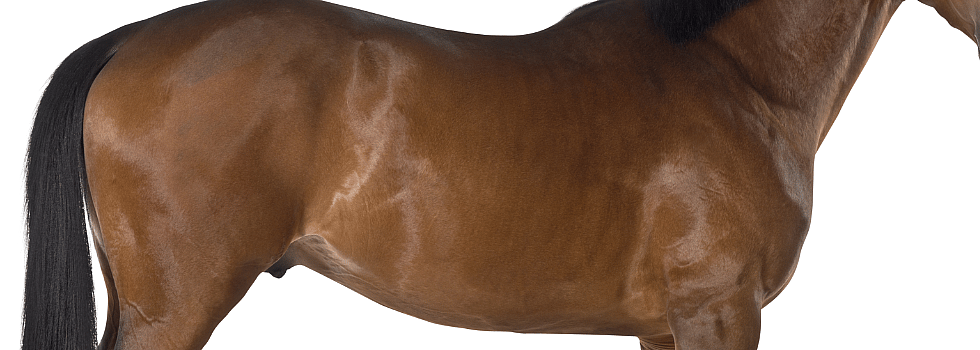 bd0256741bc96a72dd57bfaebba92392