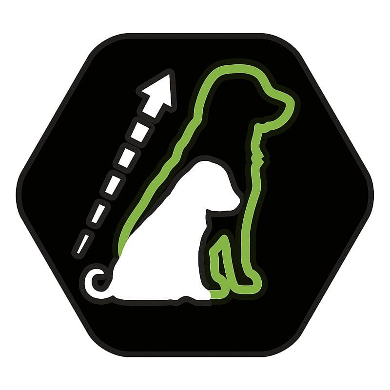 Purina Pro Plan Large Robust Puppy Healthy Start Hondenvoer 12 kg