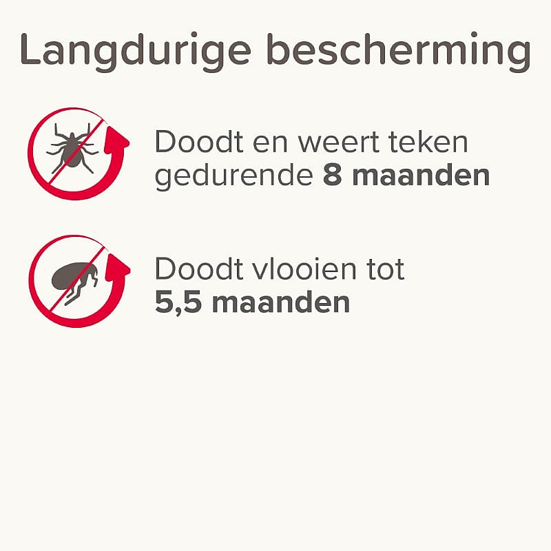 langdurige bescherming, antregelhoms, teken, insectenbescherming, antiseren