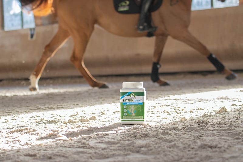 Audevard Ekyflex Tendon EVO Pezen Ligamenten Paard