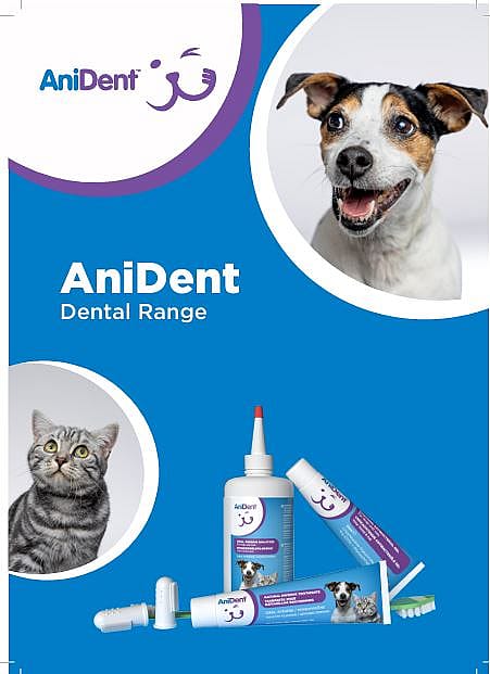 Anident Vingertandenborstel Hond Kat 20 stuks