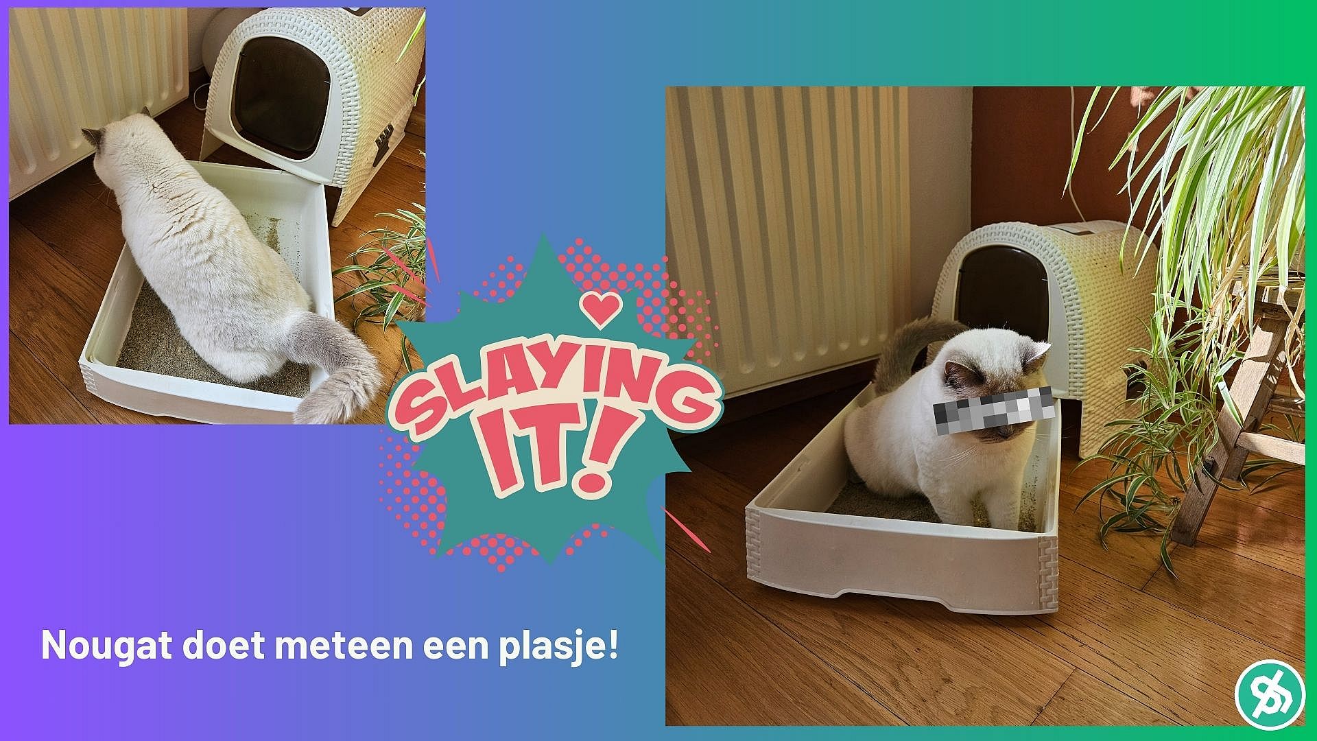 Trixie Urinetest voor Katten