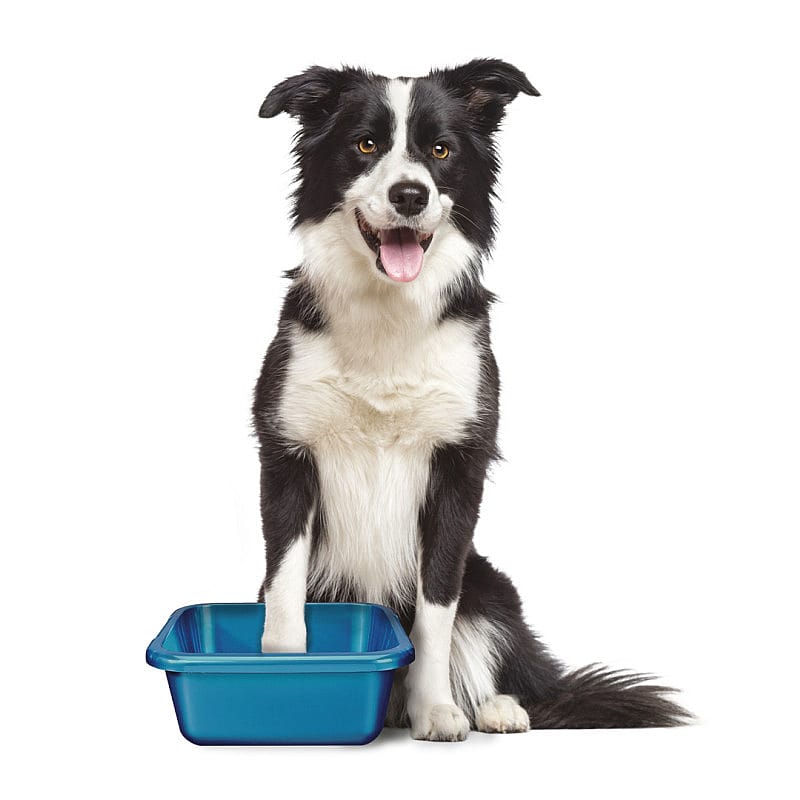 Maxani Voetbruisballetjes Kamille en Calendula