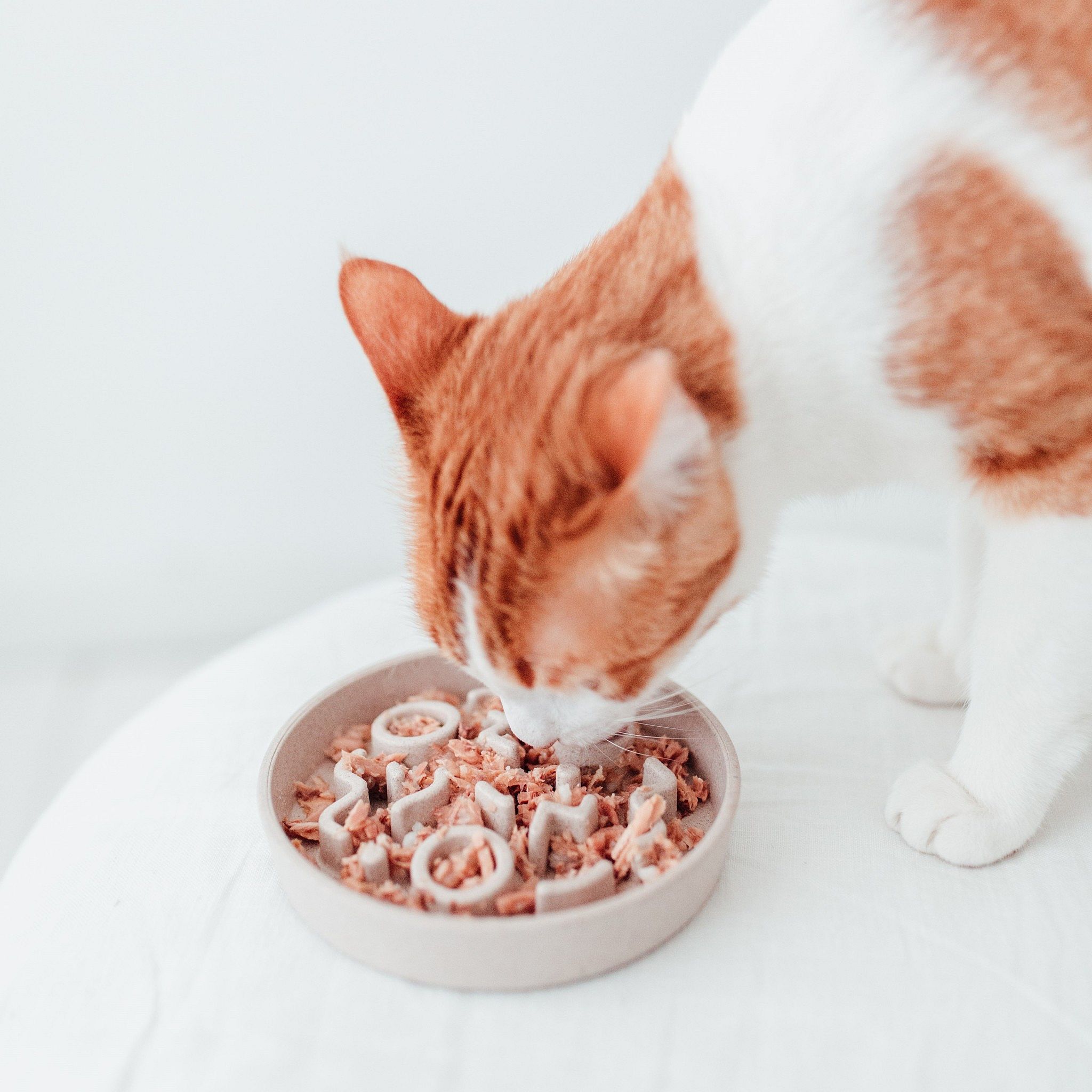 District 70 Bamboo Anti-schrok Voerbak Kat Merengue