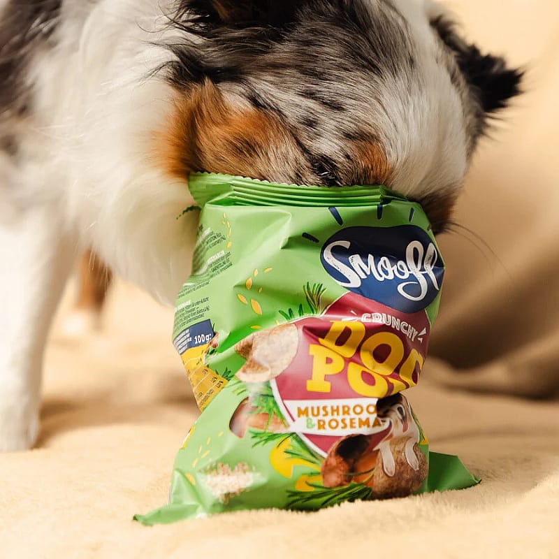 Smoofl Dog Pops! Snacks 24 gram Paddenstoel & rozemarijn