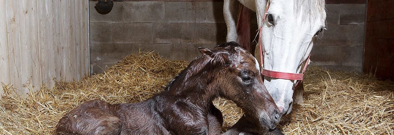 de49c7725a3f262b910552bfa159bc01