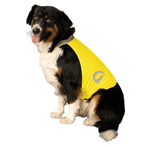 Nightwalk Safety Vest Dog Geel - Maat Small