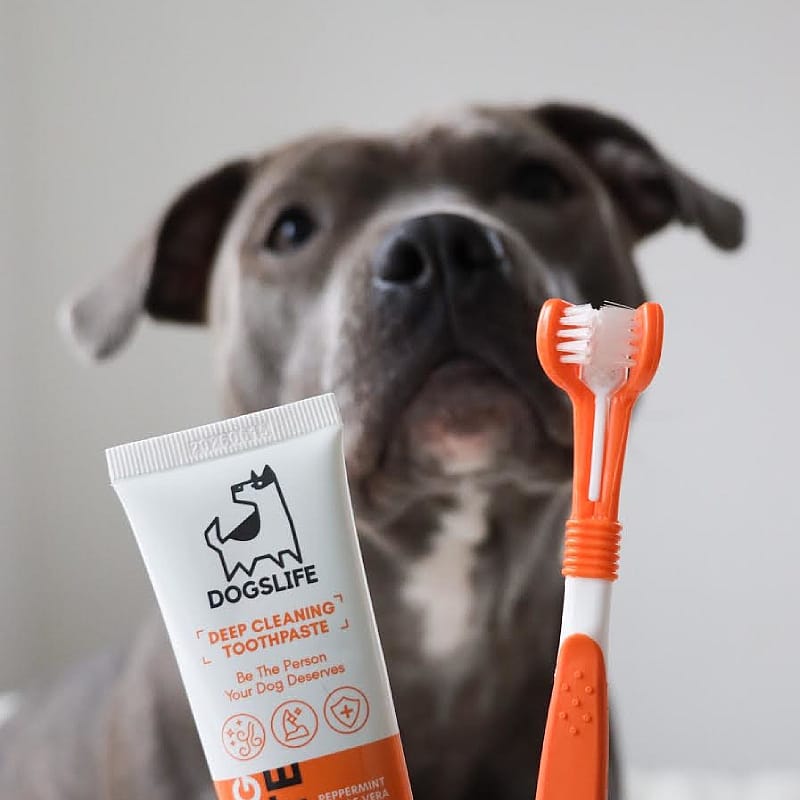 OurDogsLife Dental Kit Hond