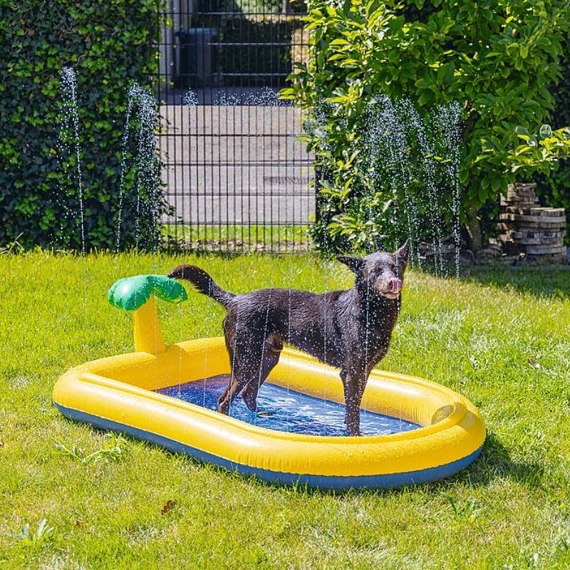 Beeztees Zwembad Palmy Sprinkler