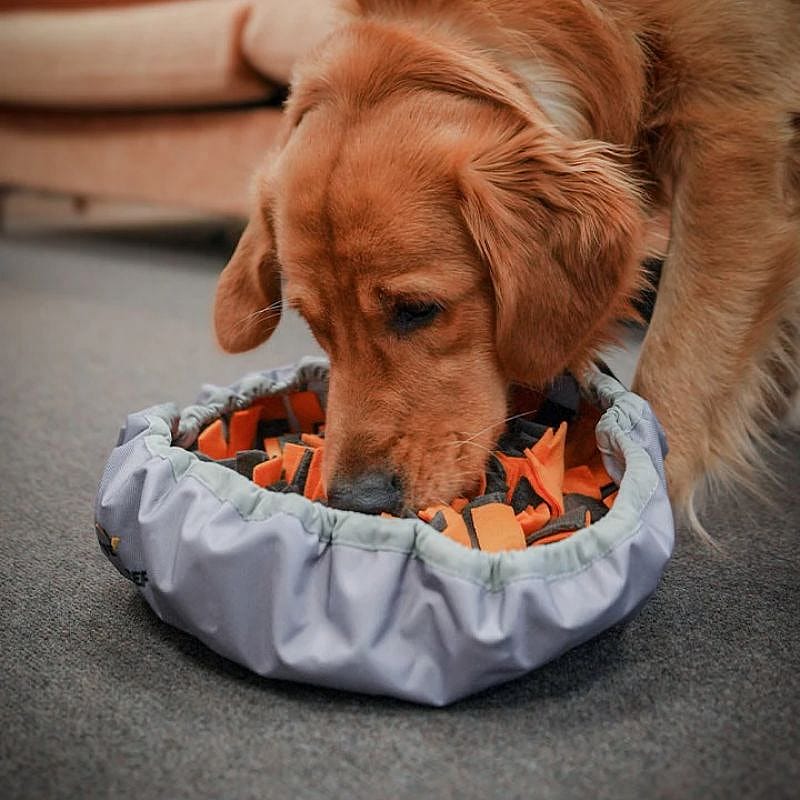 hond, voerbak, voerbal, orange accenten, kussen