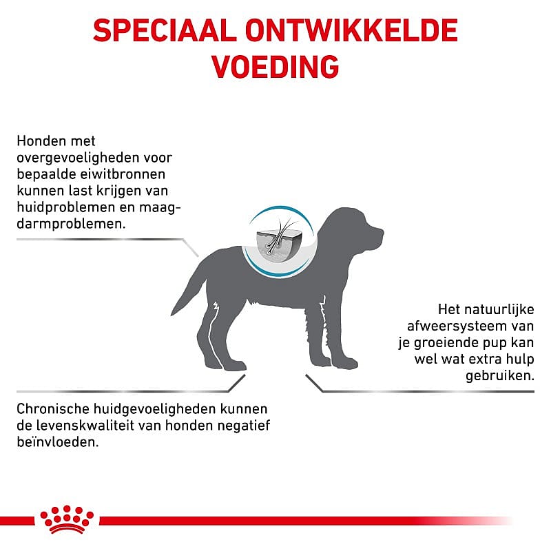 Royal Canin Hypoallergenic Puppy