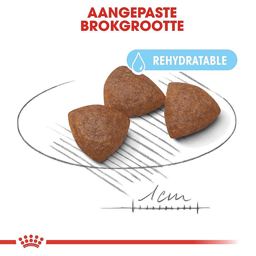 Royal Canin Starter Medium Hond