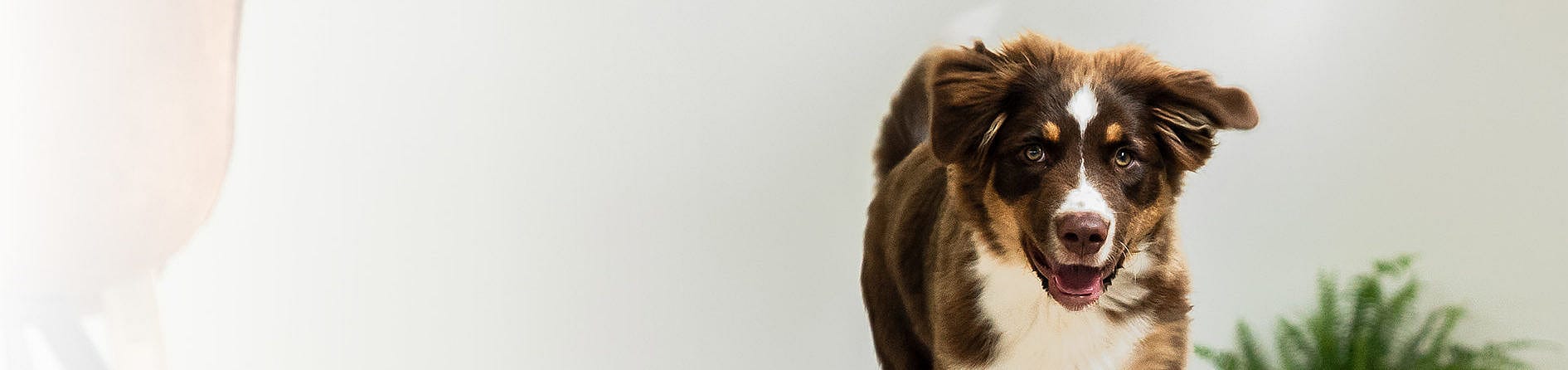 e882a8f205cfb872471dd28dde0245f5