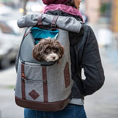 Kurgo Rugzak Hond