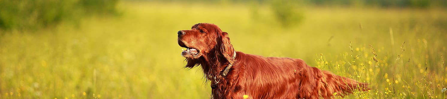 dd1f6b11d6c295ce8639396ed3063c1a